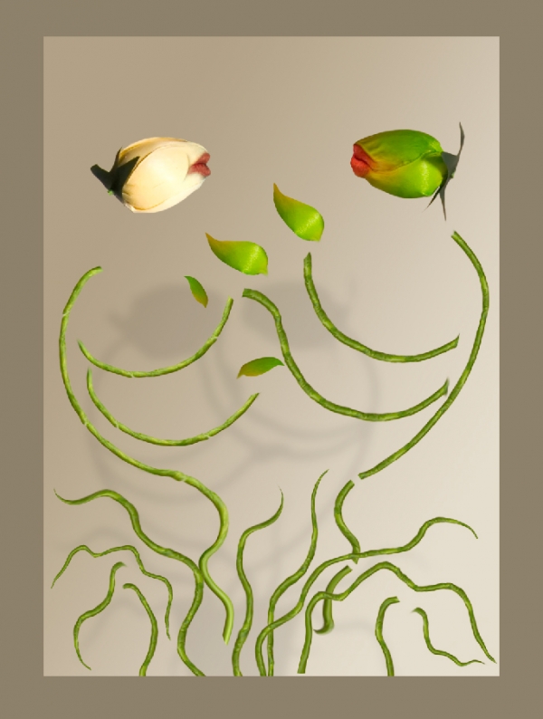Creation of Kissed by a rose: Step 4